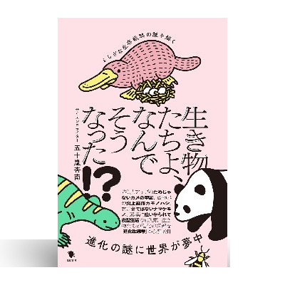 児童書/ブックコートサービス 7 児童書/ブックコートサービス - 画像 (7)