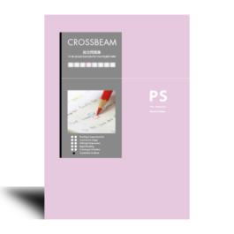 CROSSBEAM Pre-Standard