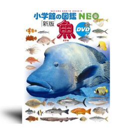 DVD付 新版 魚 (小学館の図鑑 NEO)