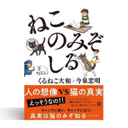 ねこのみぞしる