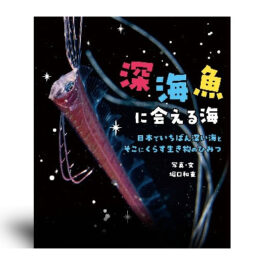 深海魚に会える海