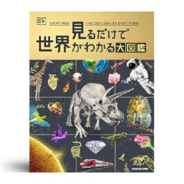 見るだけで世界がわかる大図鑑