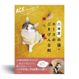 二本足の猫・エースのごきげん日和