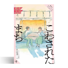 こわされたまち (戦争がわたしたちを見つめている　戦争文学セレクション)