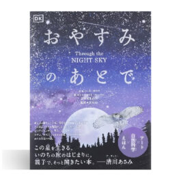 おやすみのあとで Through the NIGHT SKY