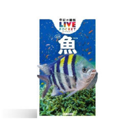 魚 新版 (学研の図鑑LIVEポケット 1)
