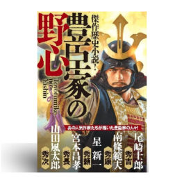 傑作歴史小説! 豊臣家の野心