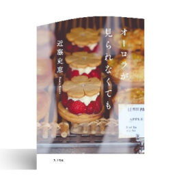 オーロラが見られなくても