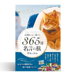 Home 14 大切なことに気づく365日名言の旅 世界の猫編