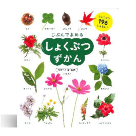 児童書/ブックコートサービス