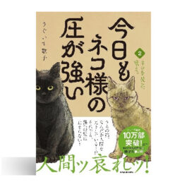 今日もネコ様の圧が強い2