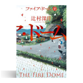 Home 18 ファイア・ドーム (下)
