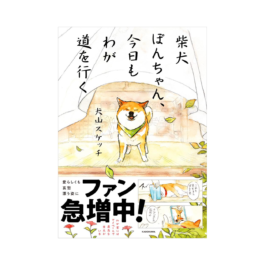 柴犬ぽんちゃん、今日もわが道を行く