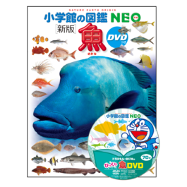 小学館の図鑑NEO〔新版〕 魚 DVDつき