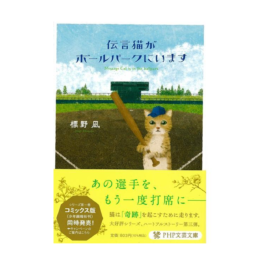 伝言猫がボールパークにいます