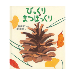 びっくり まつぼっくり